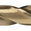 SPIRALBORR 1MM HSSCO
