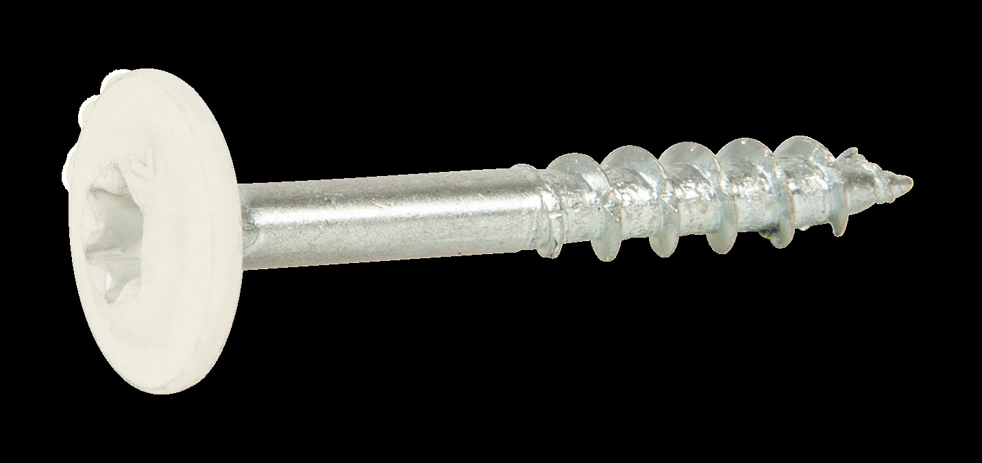 113220_BP1 TRÄKONSTRUKTIONSSKRUV WAF FZB+ VIT RAL9010 4,0X30 200ST