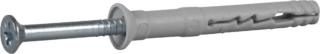 SPIKPLUGG MED FÖRSÄNKT KRAGE FZB 8X60 100ST