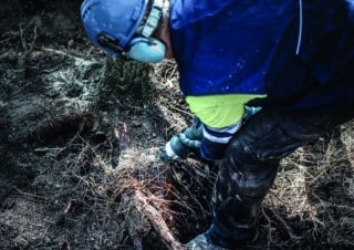 EXPERT `Tough Wood¿ S 1142 KHM tigersågblad, 1 st