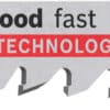 EXPERT `Hardwood Fast¿ T 144 DHM sticksågblad, 3 st