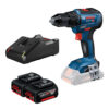 Professional-sats: GSR 18V-55 + 2x GBA 18V 5.0Ah + GAL 18V-40