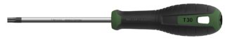 SKRUVMEJSEL TORX T 30X110