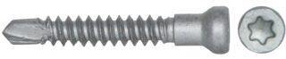 STÅLSKRUV M/BORRSPETS T30 6,7X42