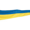 VIMPEL SVERIGE 300X50CM