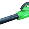 Blåsaggregat 36V (MULTI VOLT) RB 36DA Tool Only