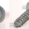 TRÄSKRUV T6SF FZV 8.8 6-KANT M FLÄNS 10X120MM