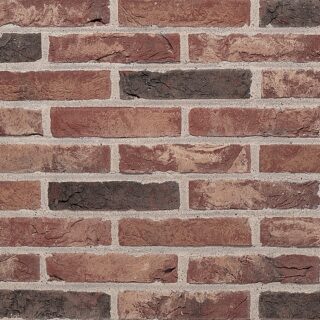 FASADTEGEL BEERSE PASTORALE WFD 65