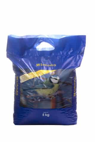Solrosfrö 5kg