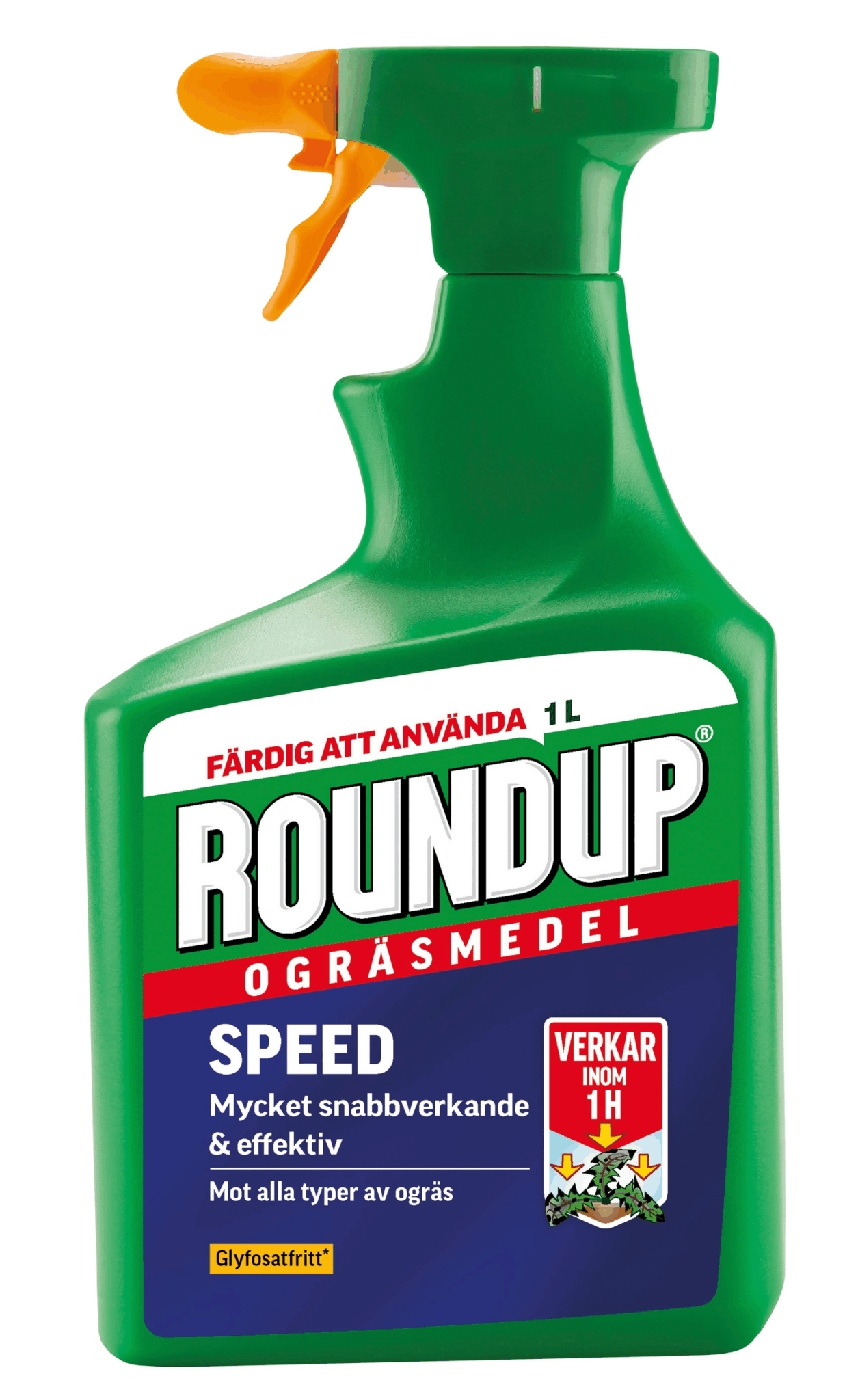 ASSET_JPEG_24885305